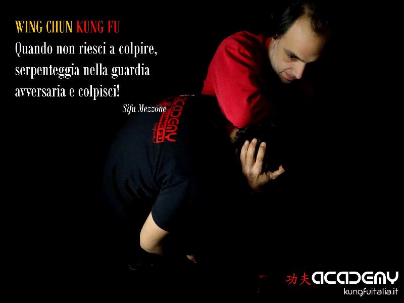 Kung Fu Academy Caserta di Sifu Salvatore Mezzone Accademia di Wing Chun e Tai Chi Quan (1)